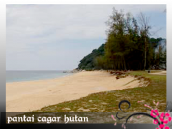 Pantai Cagar Hutan, Kemaman