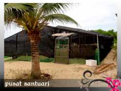 PANTAI MA' DAERAH